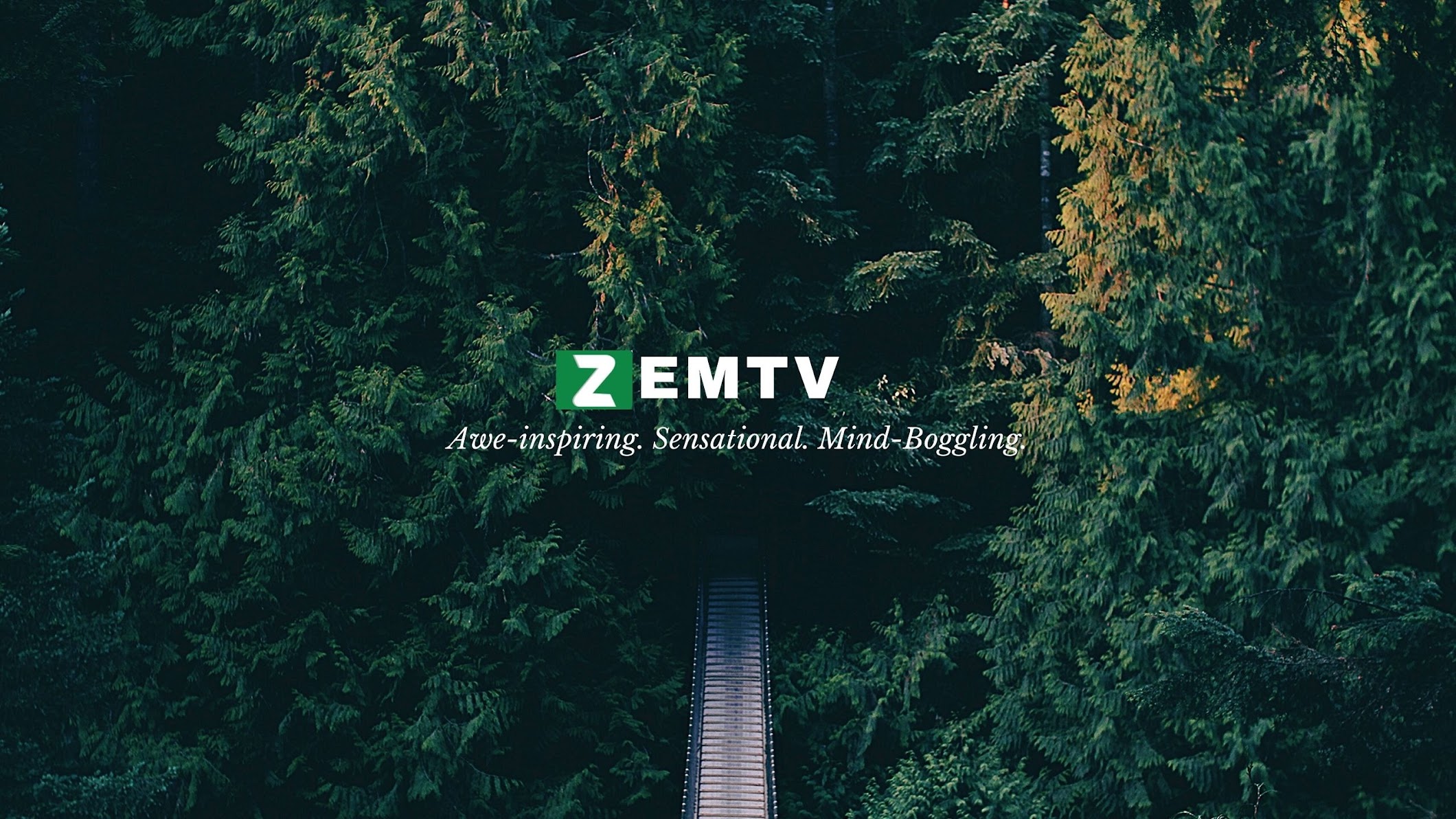 Channel Banner